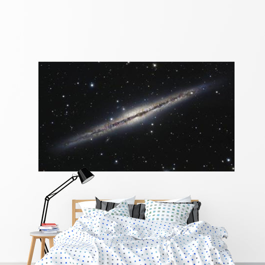 Ngc 891 Edge-on Spiral Wall Decal
