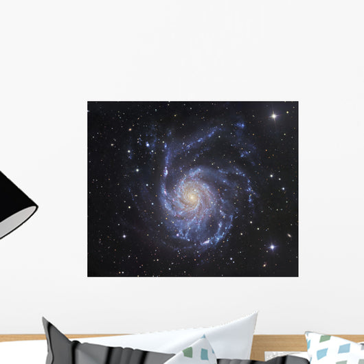 M101 Pinwheel Galaxy Ursa Wall Decal
