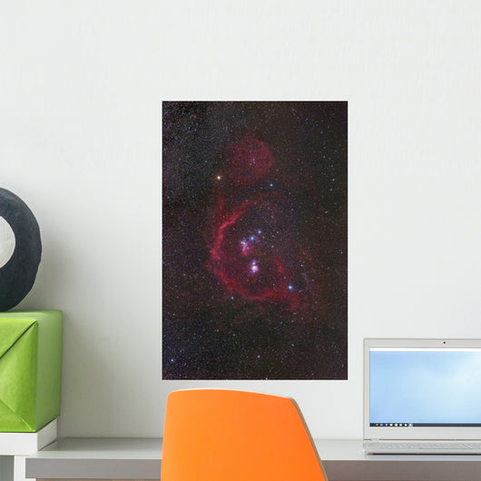 Orion Constellation Wall Decal
