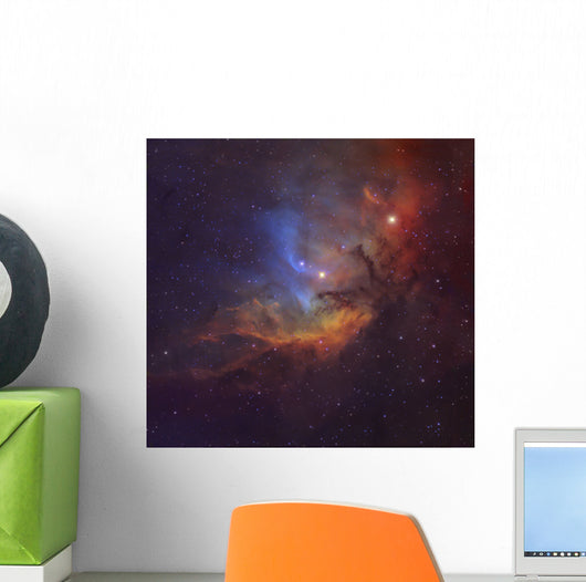 The Tulip Nebula (Sh2-101) in Cygnus. Wall Mural