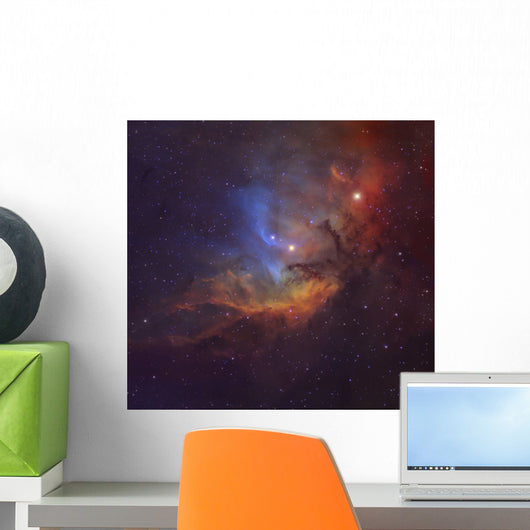 Tulip Nebula Sh2-101 Wall Decal