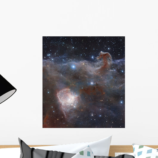 Star-forming Region Ngc 2024 Wall Decal