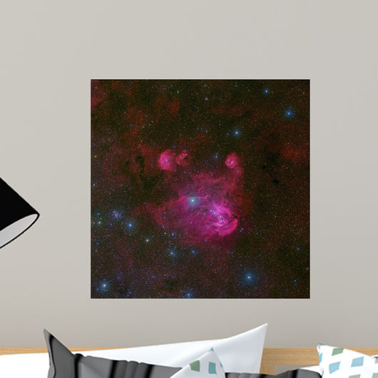Constellation Centaurus Wall Decal