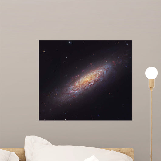 Ngc 6503 Spiral Galaxy Wall Decal