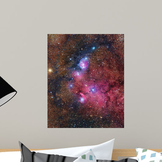 Ngc 6559 Emission and Wall Decal