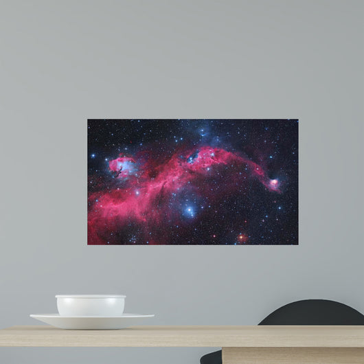 Ic 2177 Seagull Nebula Wall Decal