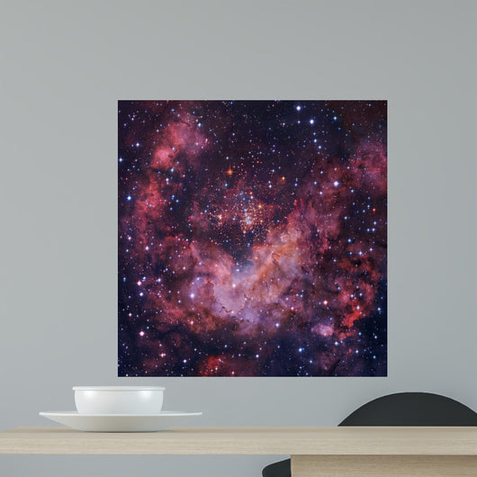 Westerlund 2 Star Cluster Wall Decal