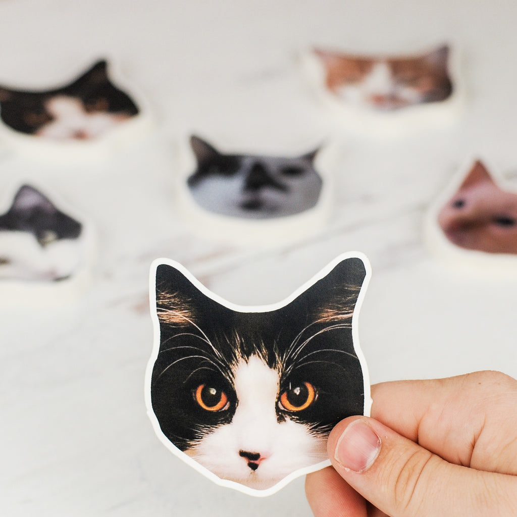 I Love My Cat Kitty Paw Circle With Tail Sticker