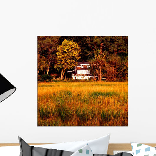 The Look Of Fall Wall Mural