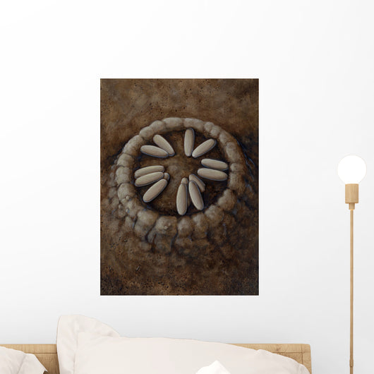 Nest Oviraptor Dinosaur Eggs Wall Decal