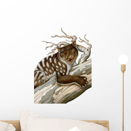 Thylacoleo Marsupial Lion from Wall Decal