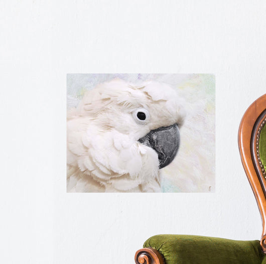 Umbrella Cockatoo Portrait Wall Mural