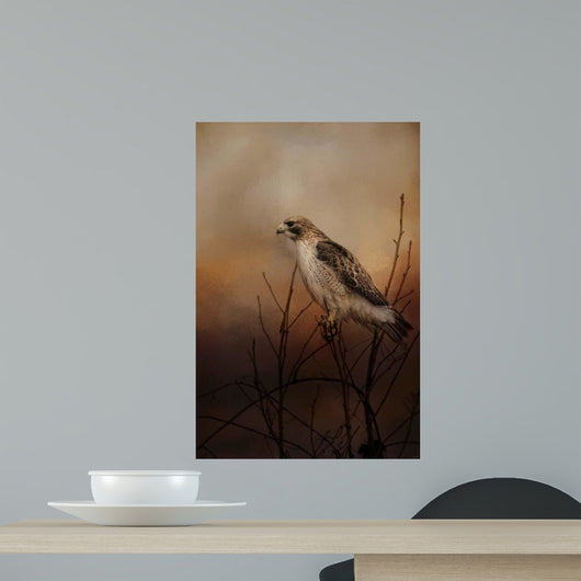 Red Tail In Wait Wall Mural