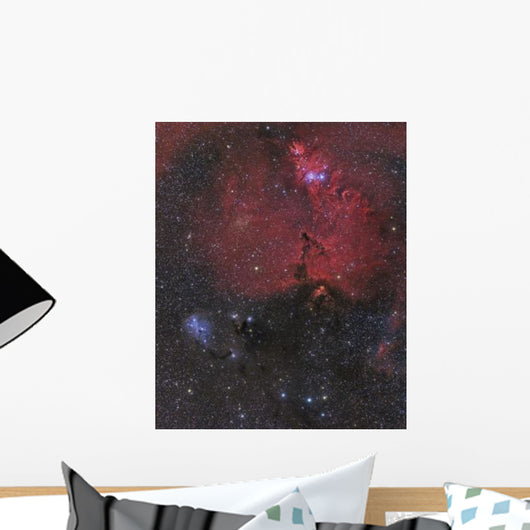 Beautiful Nebula Monoceros Wall Decal