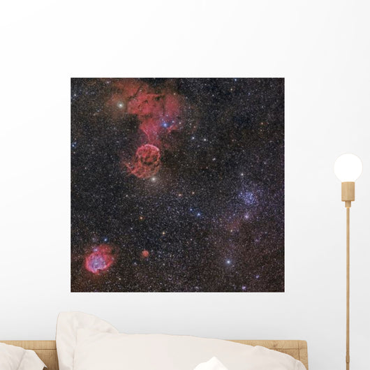 Beautiful Nebulae Gemini Constellation Wall Decal