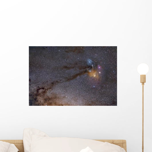 Rho Ophiuchus Area Sagittarius Wall Decal