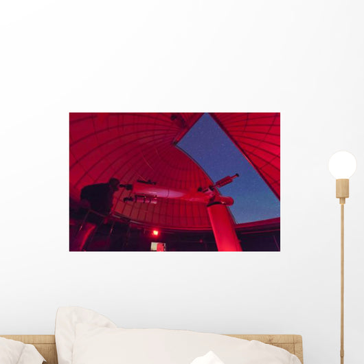 Astronomer Makes Observations through Wall Decal
