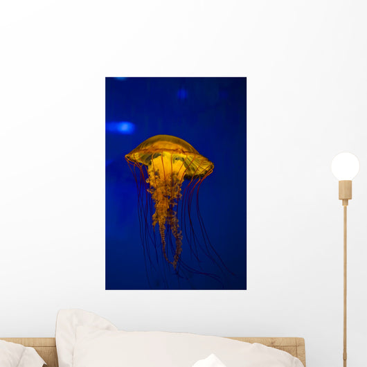 Pacific Sea Nettle Jellyfish Wall Decal