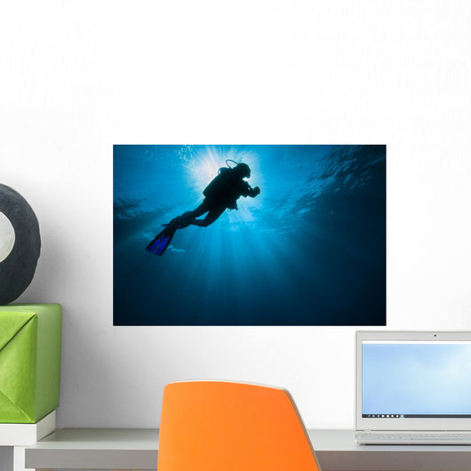 Diver Swimming past Sunlight Wall Decal