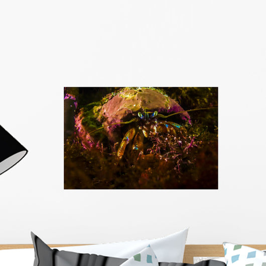 Acadian Hermit Crabs Crawling Wall Decal