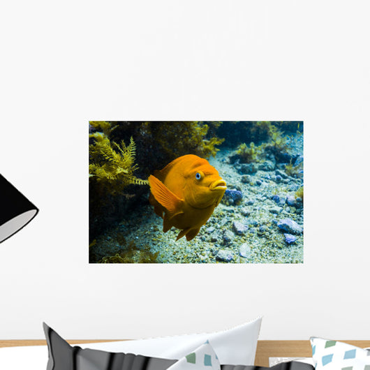 Garibaldi Rises from Seafloor Wall Decal