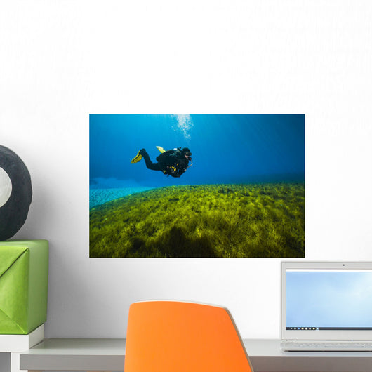Scuba Diver Clear Lake Wall Decal