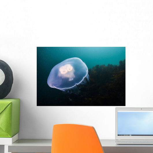 Moon Jellyfish Top Wall Decal