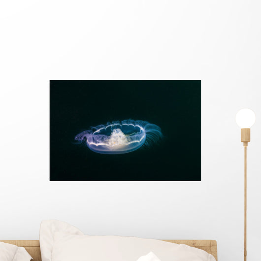 Moon Jellyfish Wall Decal