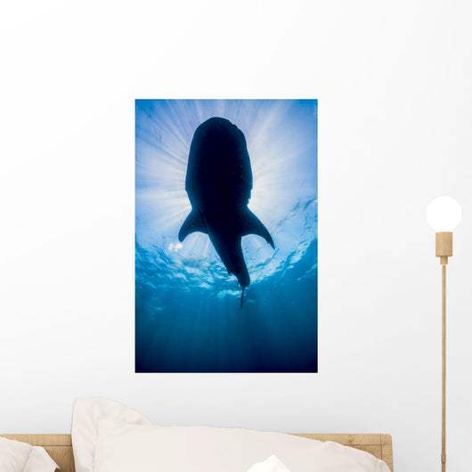 Whale Shark Isla Mujeres Silhouette Wall Decal
