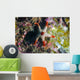 Peppermint Sea Star Tioman Wall Decal