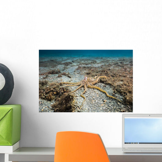 Longarm Octopus Crawls along Wall Decal