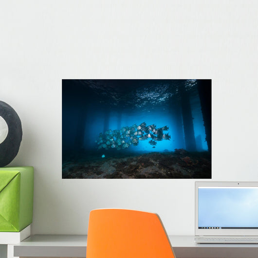 Spadefish Circle Pier Blue Wall Decal