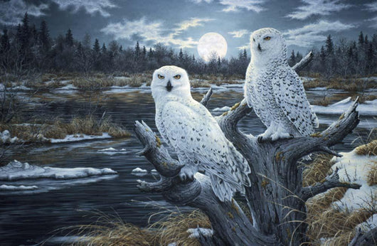 Snowy Owls Wall Mural