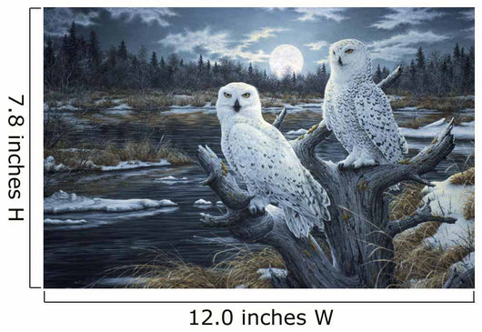 Snowy Owls Wall Mural