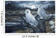 Snowy Owls Wall Mural