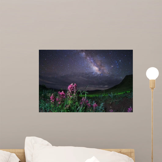 Milky Way above Foreground Wall Decal