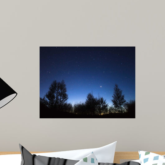 Stars Corona Borealis and Wall Decal