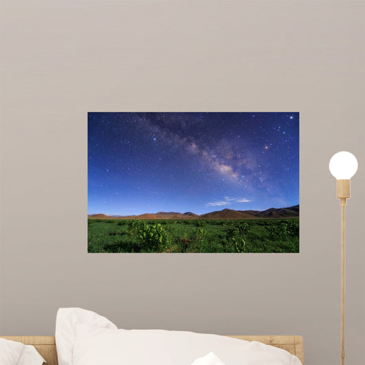 Milky Way over Field Wall Decal
