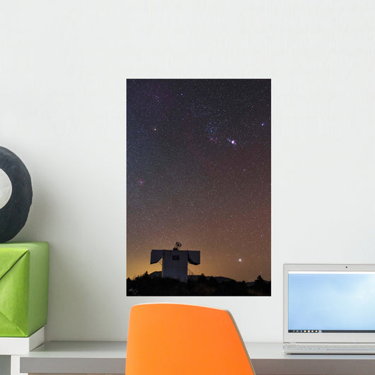 Stars Constellation Orion and Wall Decal