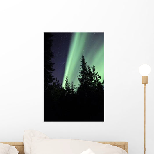 Aurora Borealis above Trees Wall Decal Design 3
