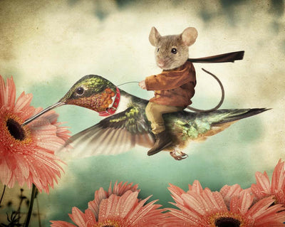 Catching Ride Hummingbird's Back Wall Decal