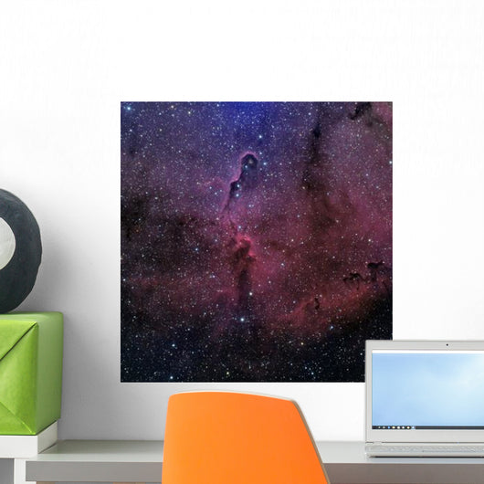 Elephant Trunk Nebula Wall Decal