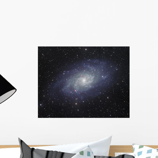 Triangulum Galaxy Wall Decal