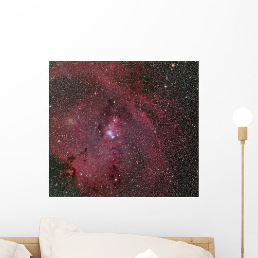 Ngc 2264 Cone and Wall Decal