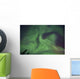 Aurora Borealis Clear Skies Wall Decal