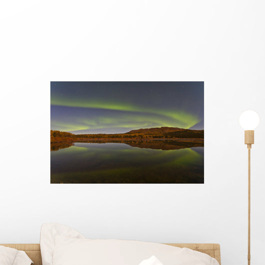 Aurora Borealis over Fish Wall Decal Design 7