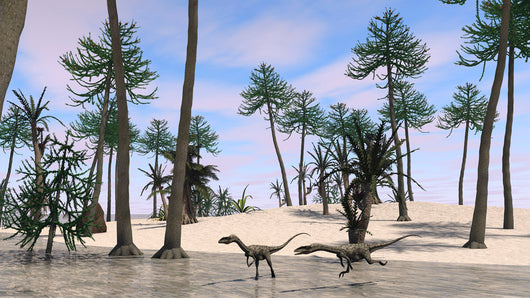 Two Coelophysis Shallow Water Wall Decal