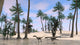 Two Coelophysis Shallow Water Wall Decal