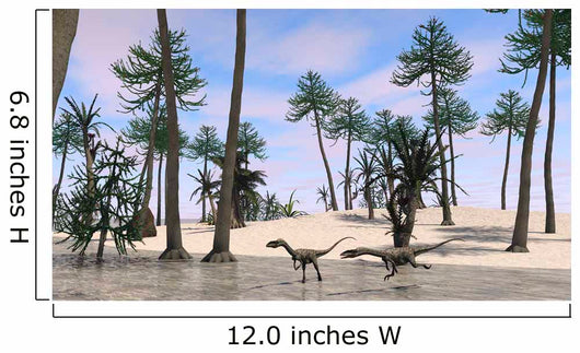 Two Coelophysis Shallow Water Wall Decal