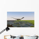 Coelophysis Running through Swampy Wall Decal Design 1